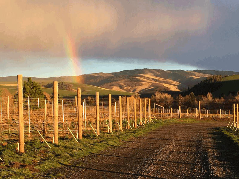 ALUVÉ Winery